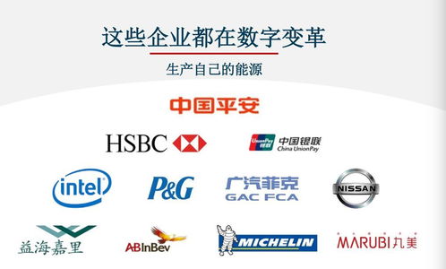 對標Adobe，Nequal如何以數據與技術雙引擎賦能企業智慧商業